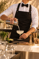 Bartender por 5 horas