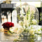 Lounge + Periqueras Blancas + Barra + Cristalería + Meseros + DJ + Taquiza (60 personas) Paquetes Lounge AlkilaEvent 