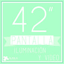 Pantalla de Plasma (42") AlkilaEvent 